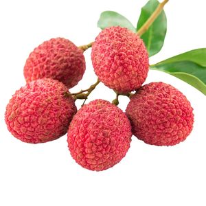 Litchis frais de Bac Giang, sucrés et juteux, qualité export premium, fabricant de fruits tropicaux du Vietnam - Product Image 3