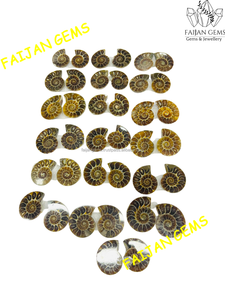 Ammonite Fossile Naturelle de Haute Qualité en Gros, Échantillon Minéral, Tranche Cabochon, Pierre de Bijoux Certifiée Authentique, Personnalisable - Product Image 4