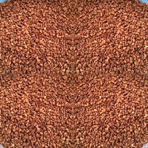 Semillas de Sésamo Marrón Cuidadosamente Seleccionadas, Listas para Exportación, Empaque a Granel para Compradores Importadores que Buscan un Suministro de Ingredientes Naturales Ricos en Aceite - Product Image 1