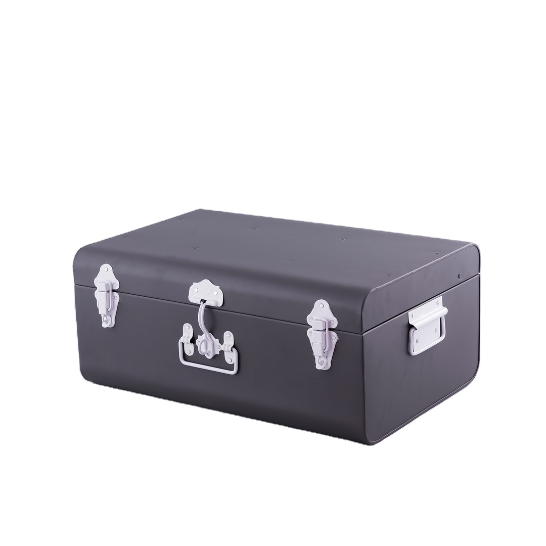 Davet French Industrial Silver Metal 5-Drawer Accent Storage Cabinet