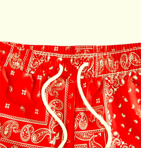 Shorts de sport pour hommes de qualité supérieure, en mesh, imprimés, respirants, décontractés, pour la gym, logo personnalisé, OEM, ODM, vente en gros - Product Image 3