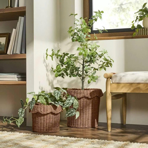 Hermosa maceta de ratán hecha a mano, diseño ecológico que agrega calidez y encanto a cualquier espacio interior o exterior. - Product Image 5