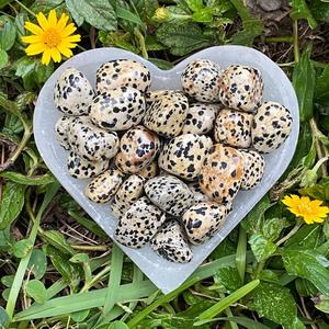 Piedras pulidas de jaspe dalmático natural, jaspe moteado, cristal curativo para Reiki, meditación, energía, decoración, venta al por mayor - Product Image 3