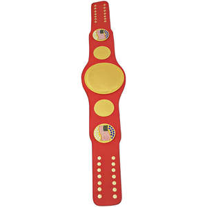 Ceinture de championnat de lutte en équipe WWF, personnalisée, en cuir respirant, imperméable, unisexe, traditionnelle - Product Image 3