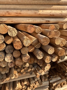 Piquets en bois d'eucalyptus, piquets de jardin en bois, piquets de soutien pour plantes, bâtons en bois naturel ronds pour le jardinage, l'agriculture et l'aménagement paysager - Product Image 6