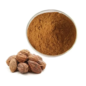 Polvo de Haritaki Premium de Grado Alimenticio, Proveedor a Granel de Polvo de Haritaki para Suplementos Herbales, Productos Ayurvédicos y de Bienestar Nutricional - Product Image 4