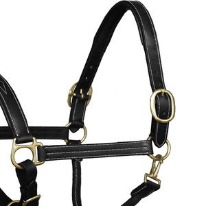 Cabestro para Caballo de Diseño Personalizado, de Cuero, Ligero y Transpirable, a Precio Económico y Alta Calidad - Product Image 6