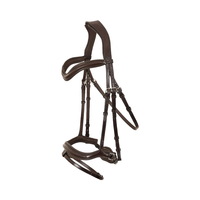 Bridon et fer à cheval en cuir de qualité supérieure, les plus vendus, avec sangles réglables, service OEM, boucles métalliques, logo personnalisé, confortables