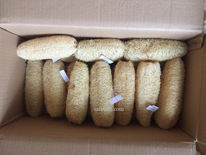 Éponge de Luffa Naturelle Biologique Entière 20-25cm, Cultivée au Vietnam, Design Simple, Emballage Biodégradable, Utilisation Corporelle - Product Image 3
