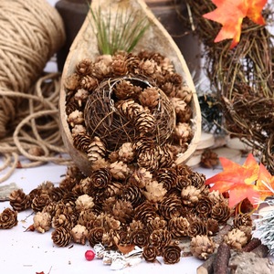 Pignons de pin séchés naturels pour décorations de Noël, artisanat DIY, fabrication de couronnes, vente en gros - Product Image 1