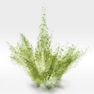 ผงใบมะรุมเกรดอาหาร OEM 500 กรัม ความบริสุทธิ์ 99% ปลูกแบบธรรมชาติ สารสกัดสมุนไพรสกัดด้วยตัวทำละลาย ได้รับการรับรองฮาลาลจากโรงงาน - Product Image 5