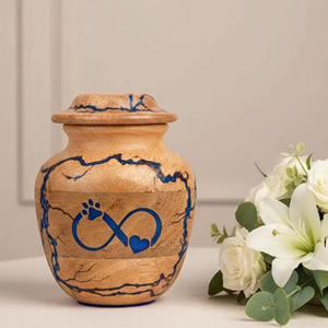 Eco Friendly Biodegradable Wooden Urn Wooden Memorial Urn for Home Display Solid Wood Ashes Urn with Brass Plate by AYAANS - Product Image 1