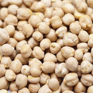Garbanzos Kabuli Premium, Grandes, Blancos, de Alta Calidad, 24 Meses de Duración, Delhi, India - Product Image 3