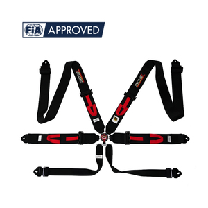 Cinturón de Seguridad Profesional para Automovilismo de 6 Puntos con Bloqueo de Leva y Servicio de Logotipo Personalizado, Certificado FIA, Producción en Taiwán - Product Image 2