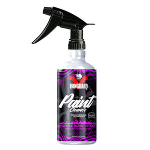 IRON REMOVER Paint Élimine efficacement la poussière de fer et les copeaux de fer de la peinture automobile, produits de detailing automobile - Product Image 1