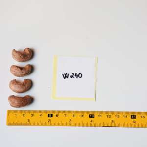 Vietnam Roasted Unshelled Cashew <b>Nuts</b> W240 in 500g Premium Paper Gift Box Packaging - Vietnam Brand Direct from Factory - Product Image 3