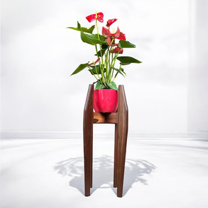 Soporte de Madera Hecho a Mano para Plantas, Moderno Soporte para Macetas de Interior para Sala de Estar, Balcón y Decoración del Hogar - Product Image 1