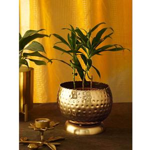 Macetero de Mesa de Metal Dorado Martillado de Lujo - Maceta Redonda Decorativa de Latón para Interiores con Soporte para Decoración del Hogar y Bodas - Product Image 2