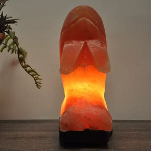 Lampe en sel de l'Himalaya la plus vendue, lampe en sel de l'Himalaya en cristal naturel de qualité supérieure pour la décoration intérieure - Product Image 5