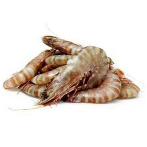 Camarones congelados de calidad de exportación para envíos a larga distancia y distribución internacional de mariscos - Product Image 1