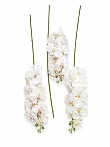 Arreglo Decorativo de Flores - Product Image 5