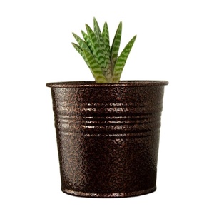 Soporte para plantas Florero Alta calidad Hecho a mano Nuevo diseño Fancy Top Selling Fancy Flower Pot Trendy Metal Planter - Product Image 1