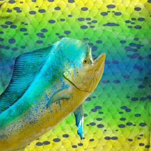 Chemises de pêche pour homme à manches longues, impression par sublimation, broderie de logo, design personnalisé, haute qualité, vêtements de sport - Product Image 5