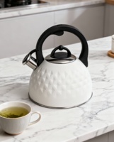 Bouilloire sifflante en acier inoxydable de 2,7 L, couleur blanche, pour tous les types de cuisinières, vente en gros d'usine