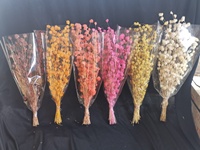 Fleur de bambou pleureur séchée naturelle 100g, vente en gros d'usine, bouquet floral, design Erawan pour mariage, durée de conservation 3-5 ans, Thaïlande