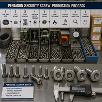 Vis de sécurité pentagonales en acier inoxydable OEM personnalisées en usine, résistantes à la manipulation, pour équipement industriel