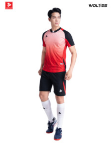 Ensemble de maillots de football unisexes de haute qualité, col rond, séchage rapide, couleurs personnalisées, impression par transfert thermique, uniforme d'équipe WOLVES JP - Product Image 2