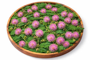 Herbal <b>Tea</b> Blends Supports Healthy Glowing Skin with Rubus Alceaefolius leaf Hibiscus sagittifolius Flower Vietnamese Origin - Product Image 2