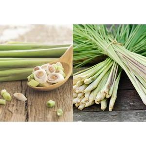 SOLUTION DE CITRONELLE 1500ML VIETNAM |   Liquide aromatique à base de plantes pour les soins ménagers et personnels - Product Image 2