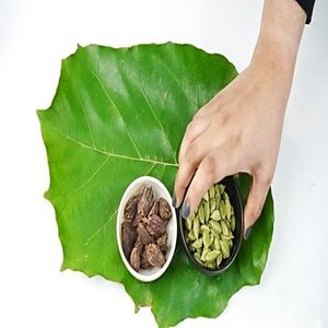 Elaichi Verde Indio Premium para Compradores Mayoristas que Buscan Cápsulas de Cardamomo Aromáticas para Mezclas de Té, Postres y Uso Culinario - Product Image 5