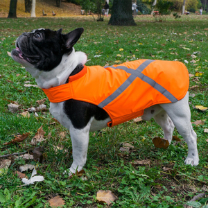 Gilet de sécurité réfléchissant haute visibilité pour chien, imperméable, orange, pour chiens de petite, moyenne et grande taille, vente en gros OEM - Product Image 6