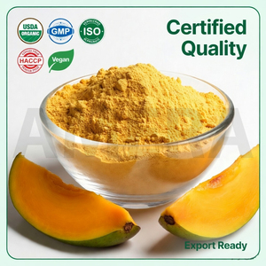 Poudre de mangue en vrac lyophilisée 100% naturelle |   Fabricant de poudre de jus de mangue - Product Image 4