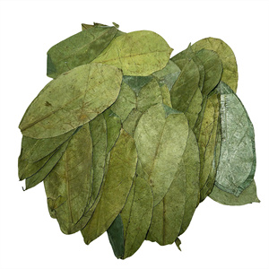 Organic Fermented Broken Black <b>Tea</b> Non Sugar 50gr <b>Box</b> Packaging EXPAD CO Grade a - Product Image 6