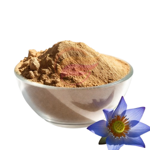 Extracto Puro de Flor de Loto Azul en Polvo 50:1 100:1 200:1, Extracto Herbal Natural, Extracción Líquido-Sólido, Grado Alimenticio, Envase de Vidrio - Product Image 1
