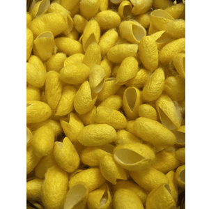 Cocon de ver à soie, matériau en fibre de soie naturelle pour la fabrication textile, la décoration artisanale et les outils cosmétiques, fournisseur du Vietnam - Product Image 5