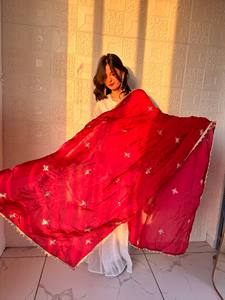 White Indian Pakistani Set Embroidered Long Sleeve Top Net Dupatta Velvet Border Festive Outfit - Product Image 3