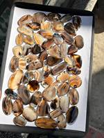 Perles lisses et polies en agate naturelle du Montana de qualité export pour la fabrication de bijoux, la guérison, la décoration et la création de cadeaux – Disponibles