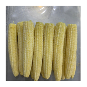 Maíz Dulce Congelado al por Mayor, Producto de Exportación para Empresas Internacionales de Comercio Alimentario - Product Image 5