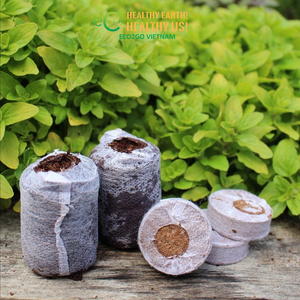 ECO2GO Vietnam - Discos Redondos de Fibra de Coco Comprimida con Malla de 35 mm a 42 mm para Germinación de Semillas e Hidroponía - Product Image 5