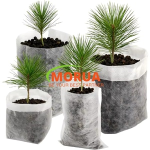 Sacs <span class=keywords><strong>de</strong></span> culture biodégradables non tissés <span class=keywords><strong>de</strong></span> 10 gallons, pots <span class=keywords><strong>de</strong></span> pépinière respirants et durables pour plantes <span class=keywords><strong>de</strong></span> jardin - Product Image 1