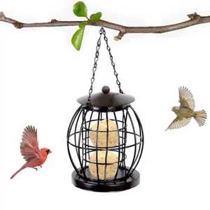 Globe Metal Suet Ball Bird Feeder Hanging Wild Bird Fat Ball Station with Protective Lid and Chain for <b>Garden</b> Yard Outdoor <b>Tree</b> - Product Image 1