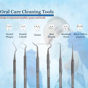 Top Quality 10pcs Dental Scaler <b>Tool</b> Set Oral Hygiene Kit Stainless Steel Dental Instruments CE ISO OEM ODM Wholesale Supplier - Product Image 6
