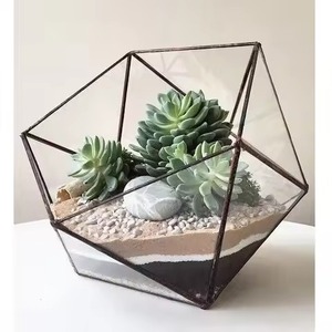 Modern <b>Frame</b> Indoor Garden Metal Terrarium Glass Planter Decorative Geometric <b>Plant</b> Holder Home Decor - Product Image 4