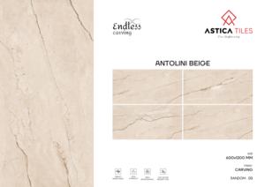 Azulejos de porcelana modernos con diseño tallado 600X1200, azulejos de gran tamaño premium para proyectos de diseño de paredes, pisos y elevaciones interiores y exteriores. - Product Image 2