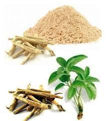 Extracto de raíz de ashwagandha herbal, extracción por solvente, envasado en bidones de HDPE, grado alimenticio. - Product Image 3