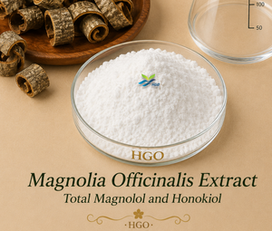 Hgo สารสกัดจากแมกโนเลีย officinalis (เกรดอาหาร) 90% แมกโนเลีย (สารสกัดมาตรฐาน) - Product Image 4